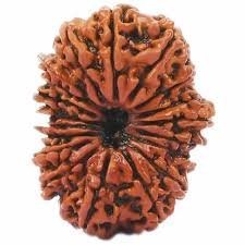 18 Mukhi Rudraksha