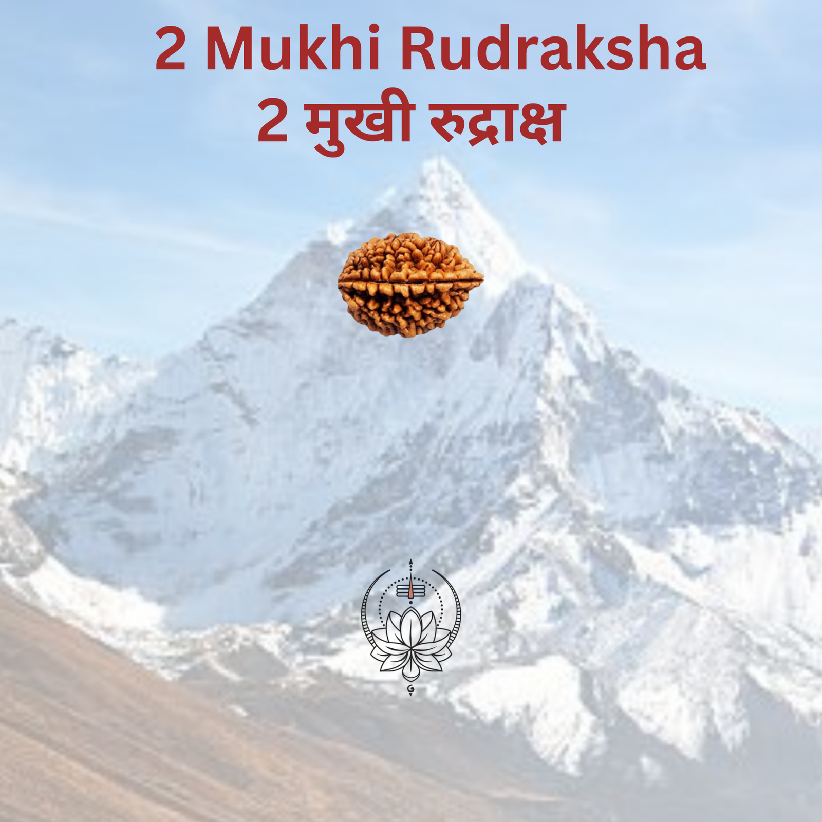 2 Mukhi Rudraksha