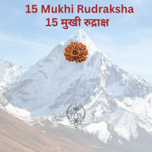 15-mukhi-rudraksha