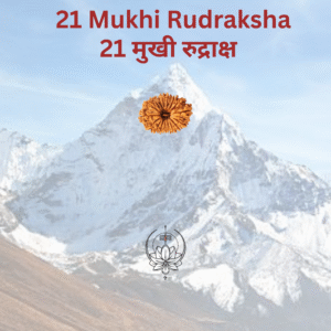 21-mukhi-rudraksha