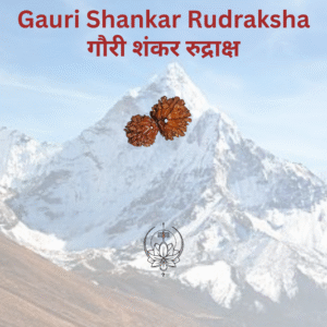 gauri-shankar-rudraksha