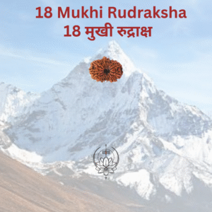 18-mukhi-rudraksha