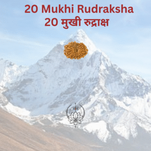 20-mukhi-rudraksha