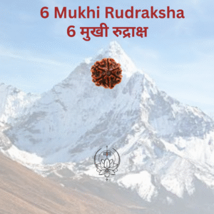 6-mukhi-rudraksha