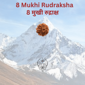 8-mukhi-rudraksha