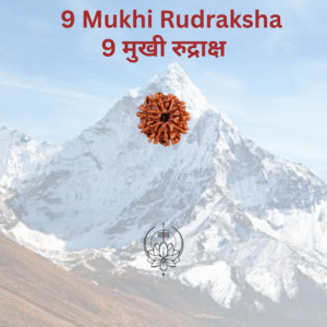 9-mukhi-rudraksha