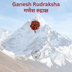 Ganesh Rudraksha